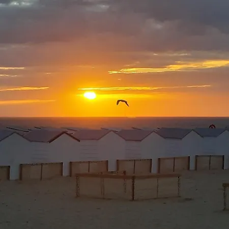Sfeervol En Lichtrijk Centrum