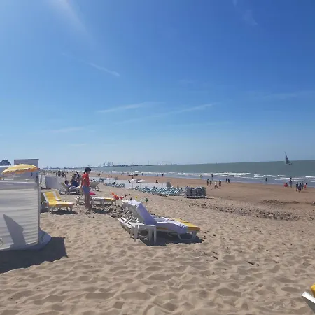 Sfeervol En Lichtrijk Centrum