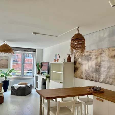 Sfeervol En Lichtrijk Centrum Кнокке-Хейст