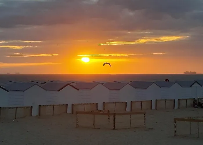 Sfeervol En Lichtrijk Centrum
